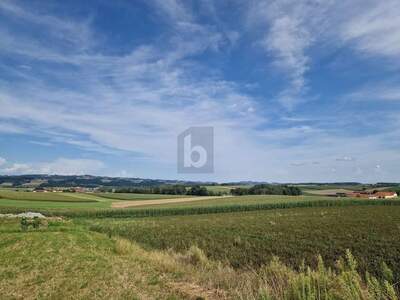 Grundstück kaufen in 4733 Heiligenberg