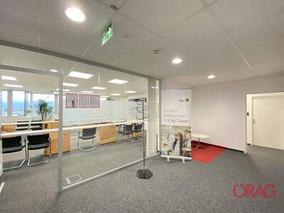 Gewerbeobjekt mieten in 4040 Linz (Bild 2)