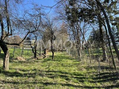 Einfamilienhaus kaufen in 2202 Hagenbrunn (Bild 1)