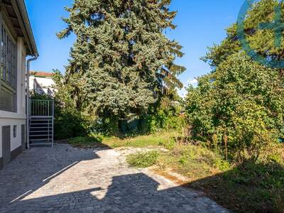 Wohnung kaufen in 1230 Wien (Bild 3)