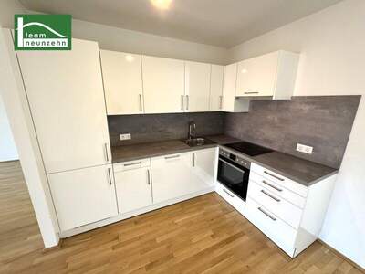 Terrassenwohnung mieten in 1210 Wien (Bild 3)