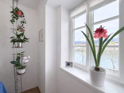 Wohnung kaufen in 5400 Hallein