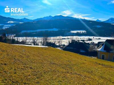 Grundstück kaufen in 8954 St. Martin (Bild 1)