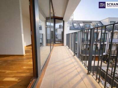 Terrassenwohnung mieten in 1230 Wien (Bild 1)