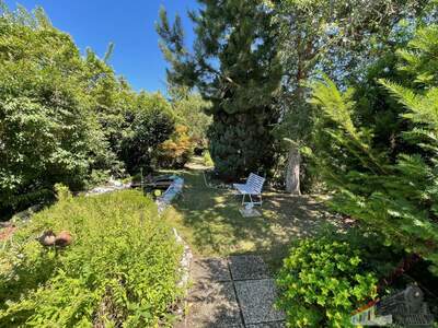 Einfamilienhaus kaufen in 2512 Tribuswinkel