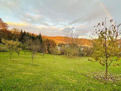 Grundstück kaufen in 4221 Steyregg