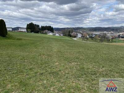 Grundstück kaufen in 8330 Feldbach