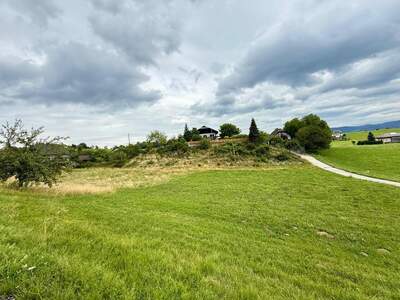 Grundstück kaufen in 9183 Rosenbach