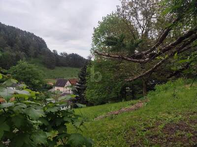 Einfamilienhaus kaufen in 2860 Kirchschlag (Bild 2)