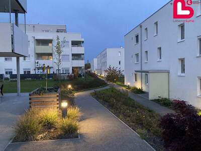 Wohnung mieten in 4490 St. Florian (Bild 1)