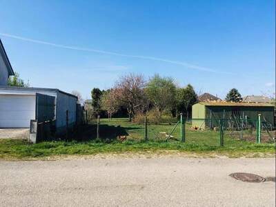 Grundstück provisionsfrei kaufen in 7122 Gols