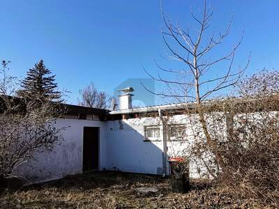Einfamilienhaus kaufen in 2491 Neufeld (Bild 3)