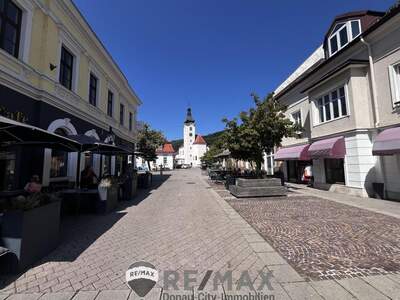 Gewerbeobjekt mieten in 3002 Purkersdorf (Bild 5)