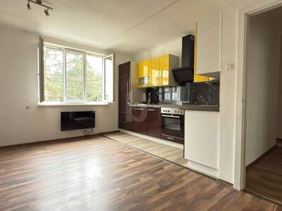 Etagenwohnung kaufen in 1100 Wien