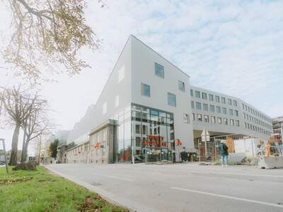 Gewerbeobjekt mieten in 1230 Wien (Bild 1)