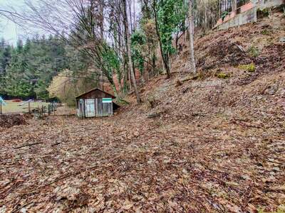 Grundstück kaufen in 8114 Gratkorn (Bild 1)