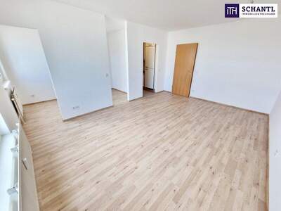 Wohnung kaufen in 1100 Wien (Bild 4)