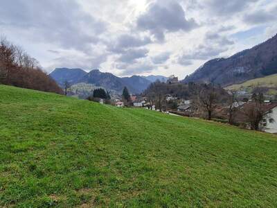 Grundstück kaufen in 4460 Losenstein (Bild 5)