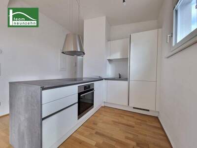 Terrassenwohnung mieten in 1210 Wien (Bild 2)