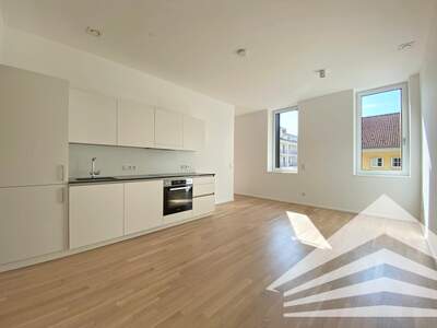 Etagenwohnung mieten in 4020 Linz