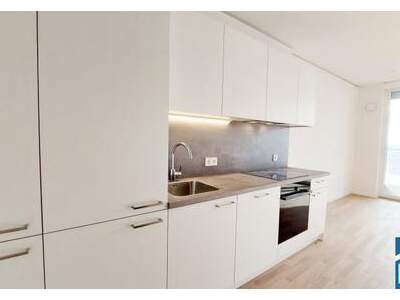 Wohnung mieten in 1220 Wien