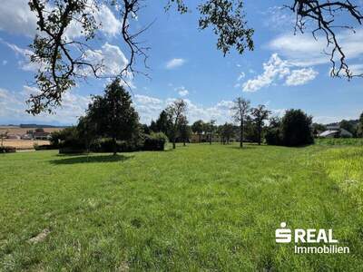 Grundstück kaufen in 4611 Buchkirchen (Bild 4)