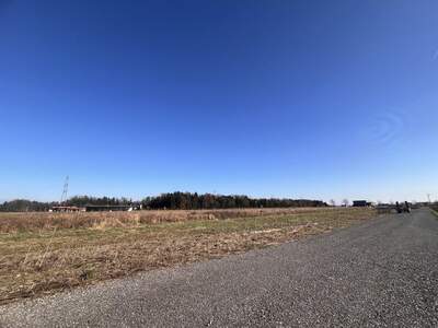 Gewerbeobjekt kaufen in 8423 Sankt Veit (Bild 4)