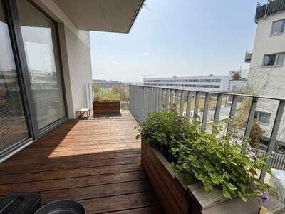 Wohnung mieten in 1220 Wien