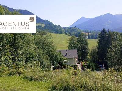 Grundstück kaufen in 8685 Steinhaus