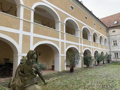 Wohnung kaufen in 2732 Strelzhof
