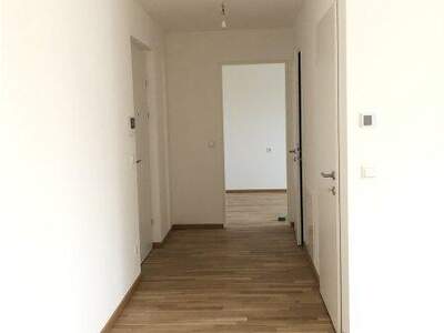 Terrassenwohnung mieten in 1230 Wien (Bild 3)