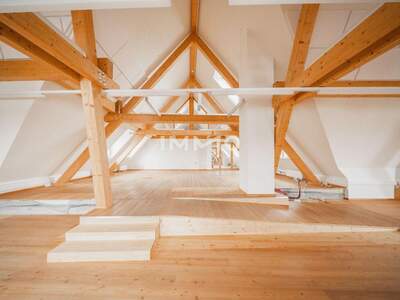 Gewerbeobjekt kaufen in 2320 Mannswörth (Bild 2)