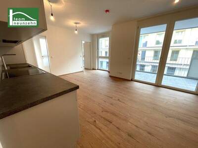Terrassenwohnung mieten in 1220 Wien (Bild 3)