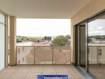 Anlageobjekt kaufen in 4710 Grieskirchen (Bild 4)