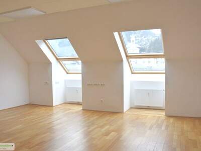 Gewerbeobjekt mieten in 5400 Hallein (Bild 2)