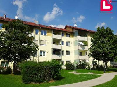 Wohnung mieten in 4560 Kirchdorf (Bild 2)