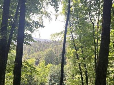 Gewerbeobjekt kaufen in 8010 Graz