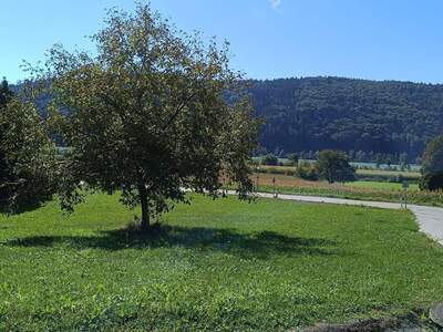 Plot / Land provisionsfrei kaufen in 3680 Weins