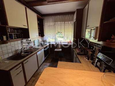 Einfamilienhaus kaufen in 1220 Wien (Bild 3)