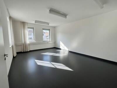 Gewerbeobjekt mieten in 8330 Feldbach (Bild 2)