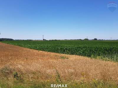 Grundstück kaufen (Bild 2)