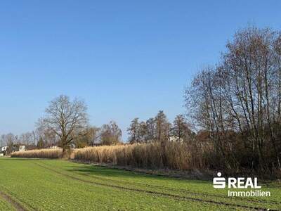 Grundstück kaufen in 5280 Braunau (Bild 3)