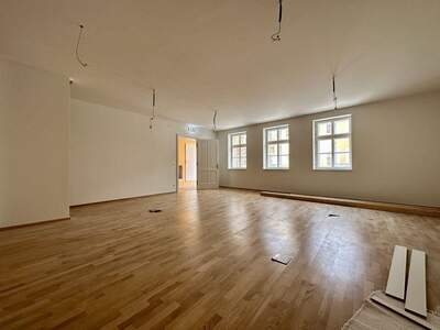 Gewerbeobjekt mieten in 2500 Baden (Bild 3)
