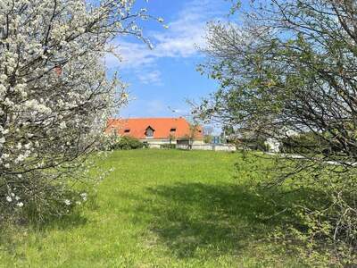Grundstück mieten in 8591 Maria Lankowitz