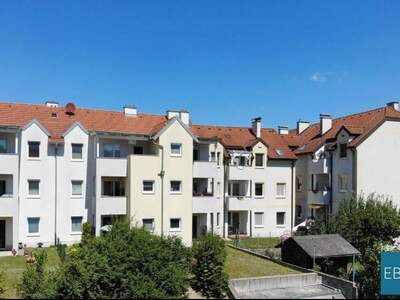 Wohnung mieten in 3943 Schrems