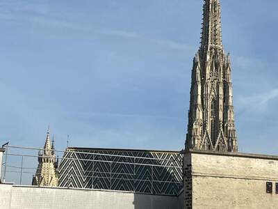 Gewerbeobjekt mieten in 1010 Wien (Bild 1)