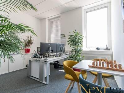 Gewerbeobjekt mieten in 4050 Traun (Bild 4)