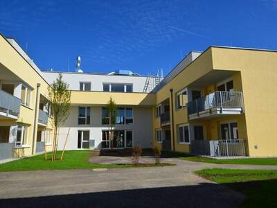 Terrassenwohnung mieten in 4300 St. Valentin (Bild 2)