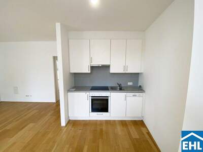Terrassenwohnung mieten in 1070 Wien (Bild 3)