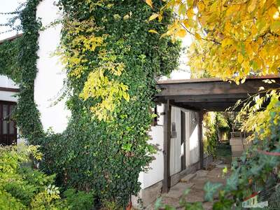 Einfamilienhaus kaufen in 1220 Wien (Bild 4)